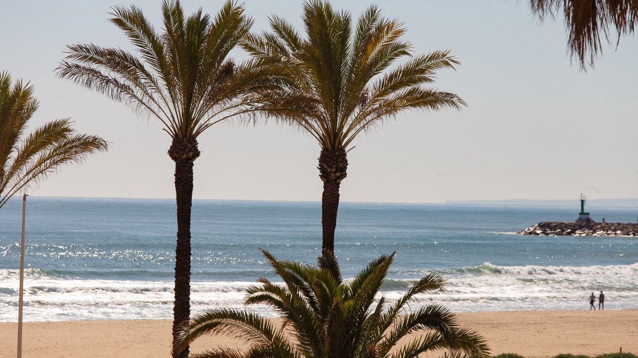 Photo of Others in Cullera