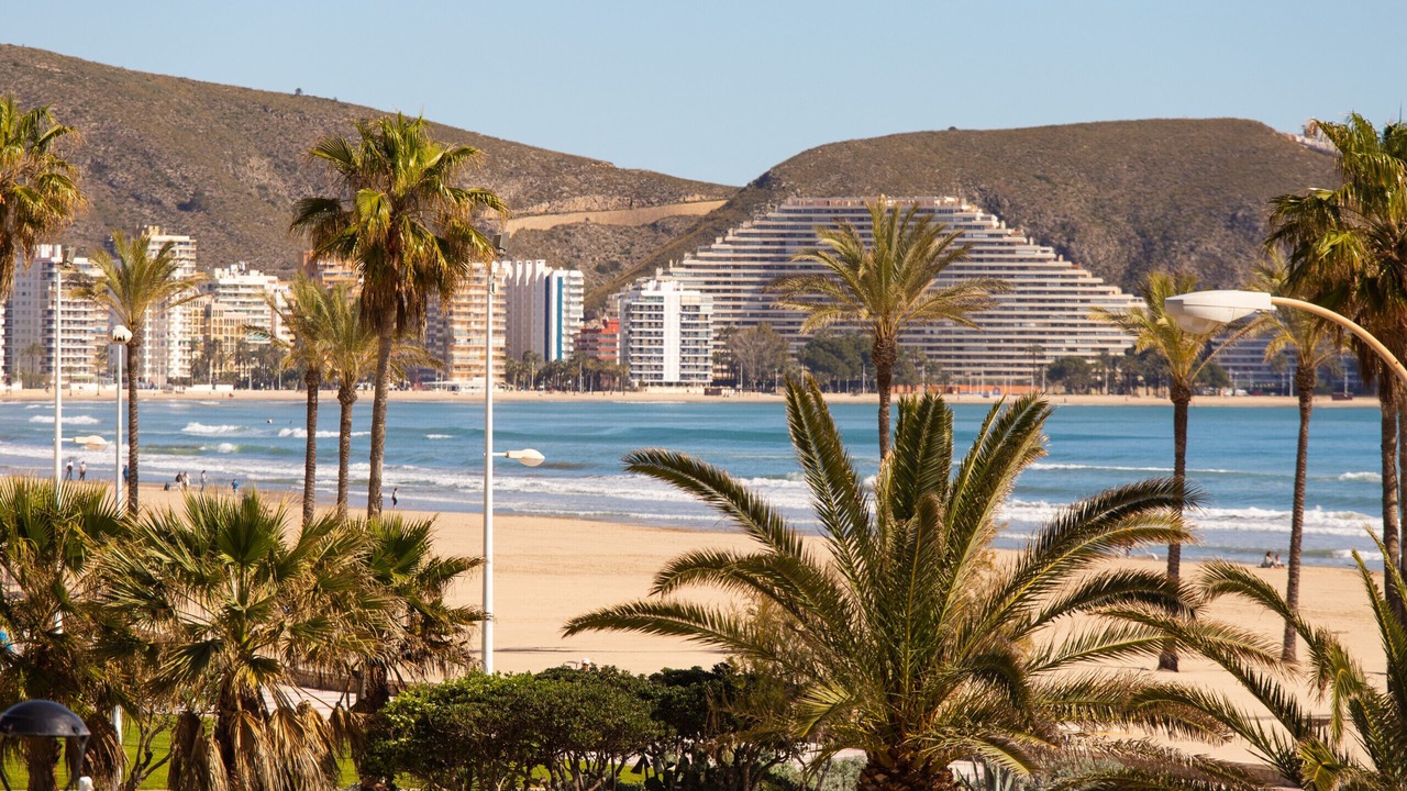 Photo of Others in Cullera