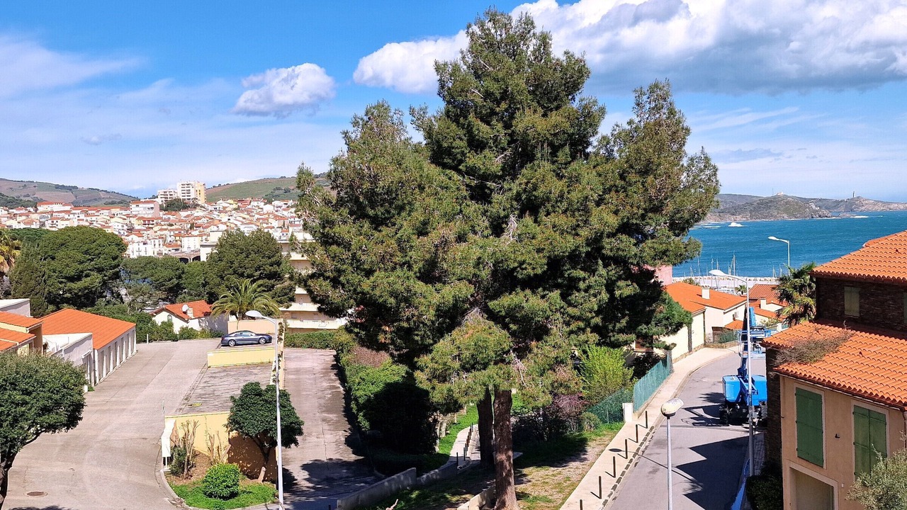 Photo of Others in Banyuls-sur-Mer