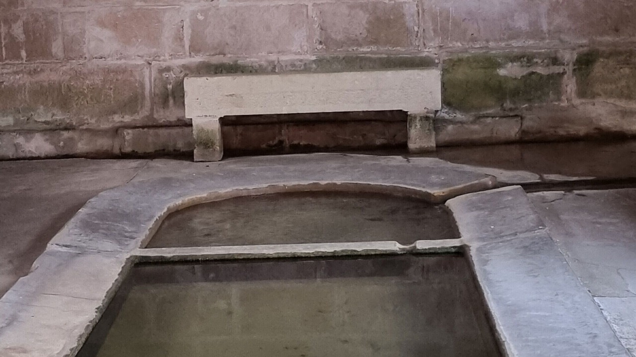 Photo of Others in Vouthon-Haut