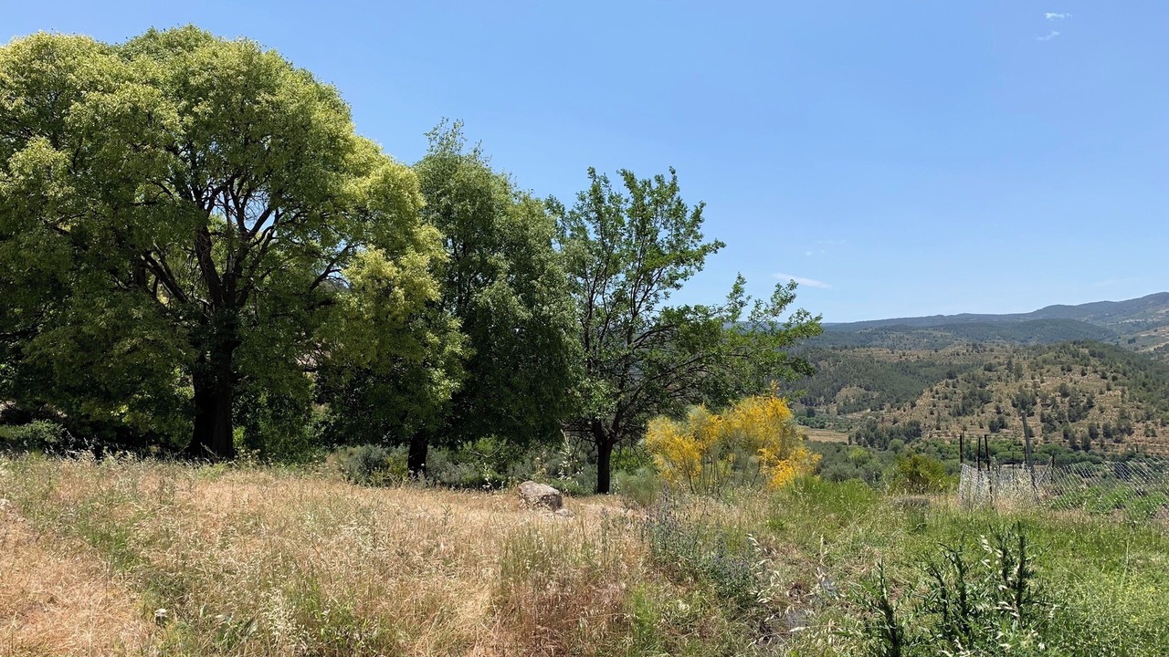 Photo of Others in Nerpio