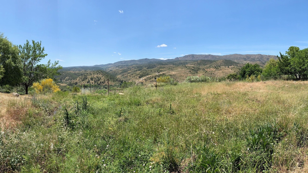 Photo of Others in Nerpio