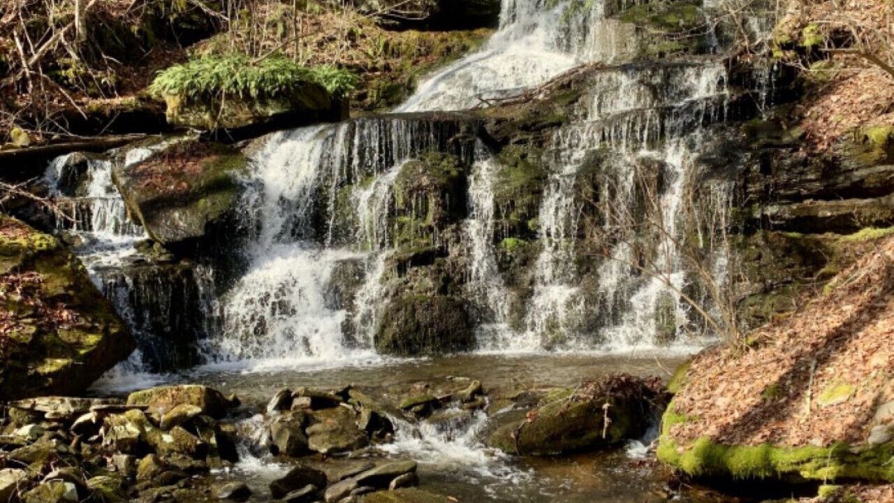 Photo of Others in Roscoe