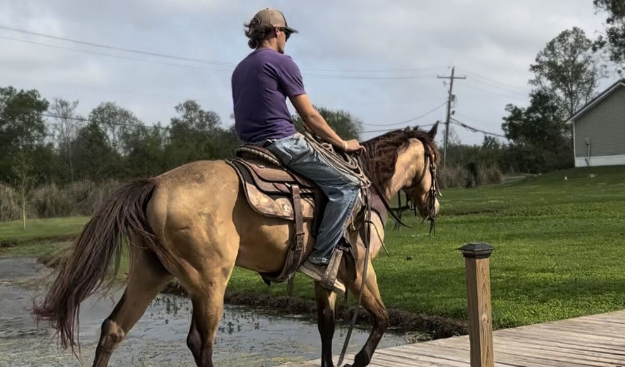 Photo of Others in Lake Charles