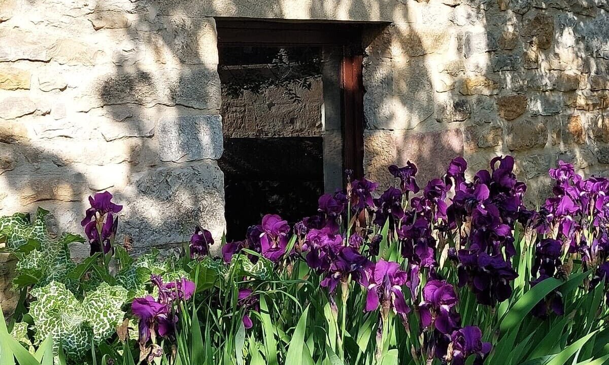 Photo of Outdoor in Bruniquel