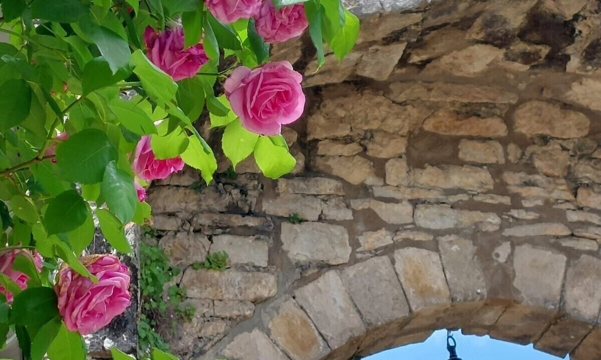 Photo of Outdoor in Bruniquel