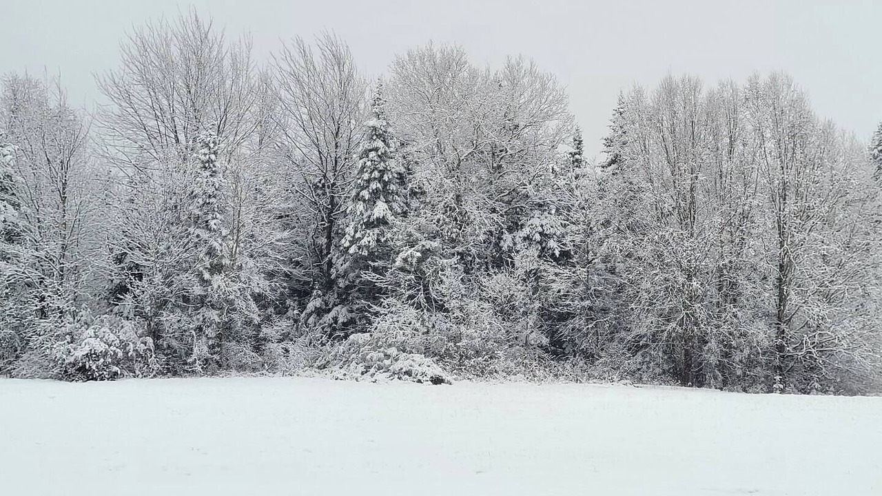 Photo of Others in Chartierville