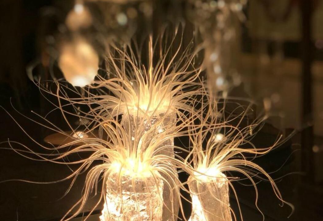 Photo of Others in Vensac