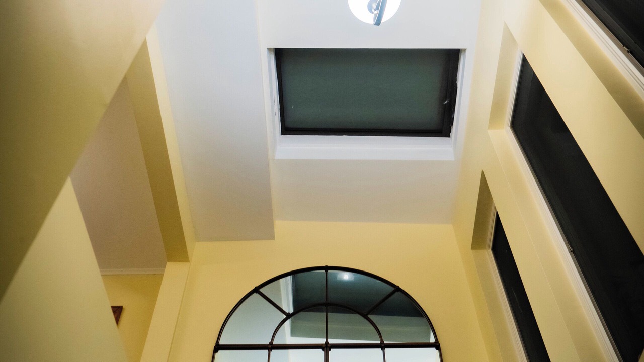 Photo of Others in Hicksville