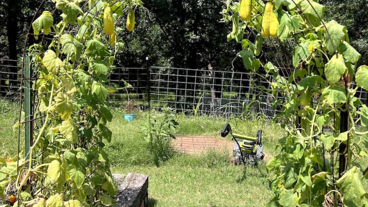 Photo of Outdoor in Oklahoma County