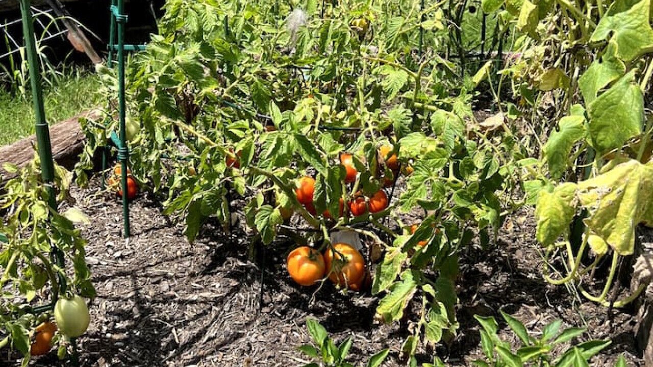 Photo of Outdoor in Oklahoma County