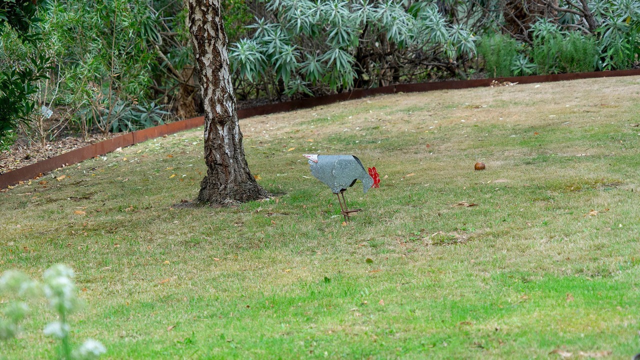 Photo of Outdoor in Shoreham
