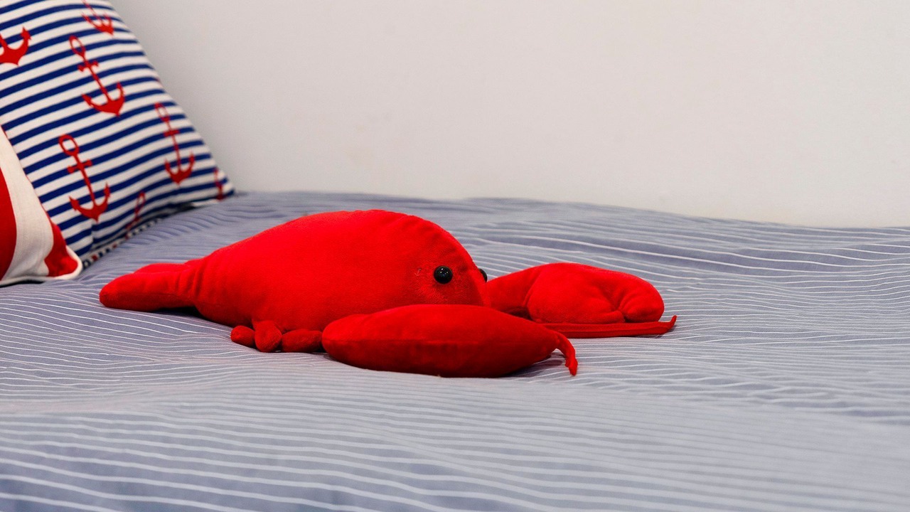 Photo of Others in Shoreham