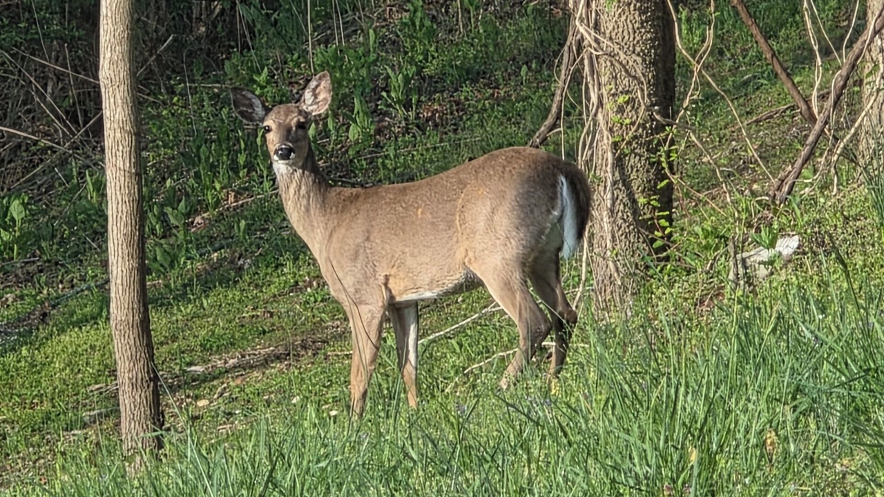 Photo of Others in Baxter