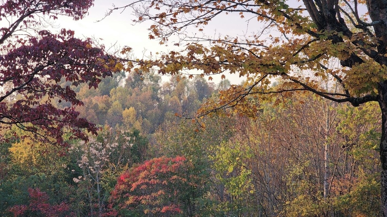 Photo of Others in Baxter