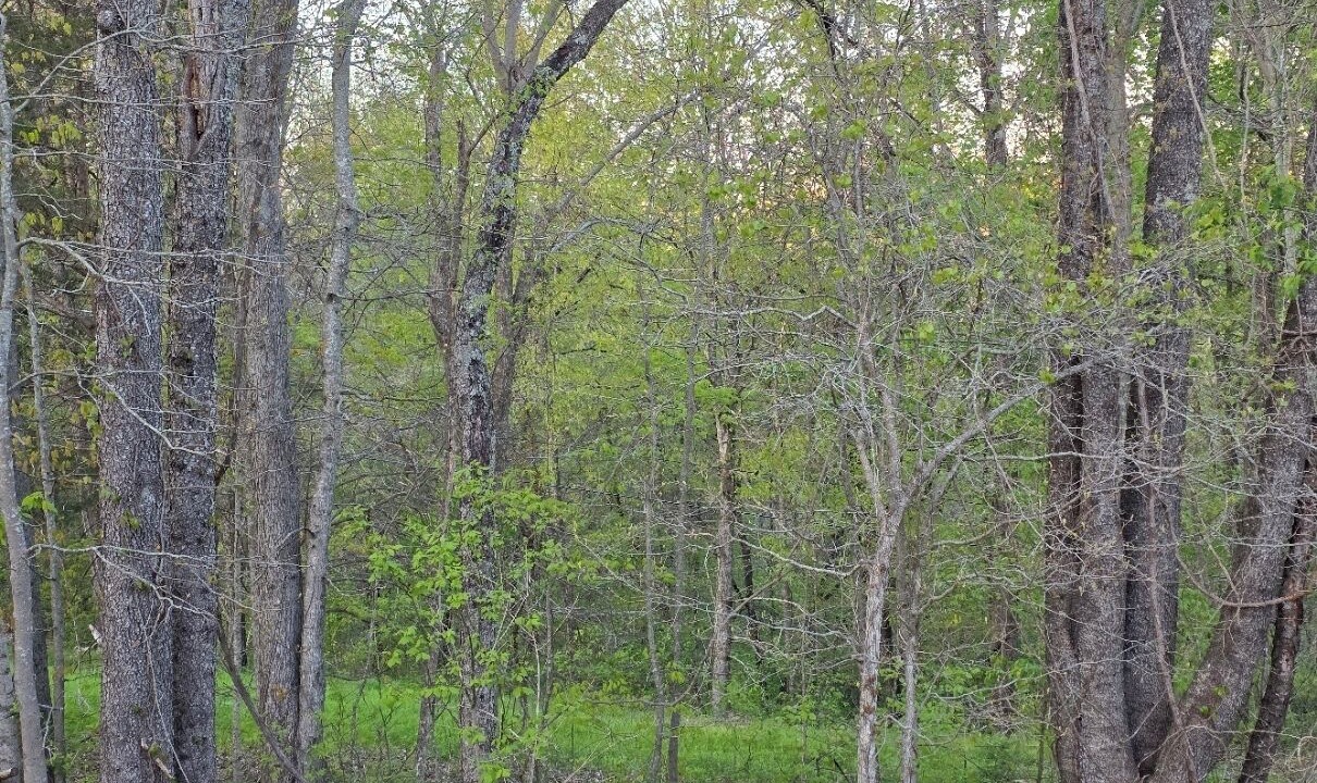 Photo of Others in Baxter