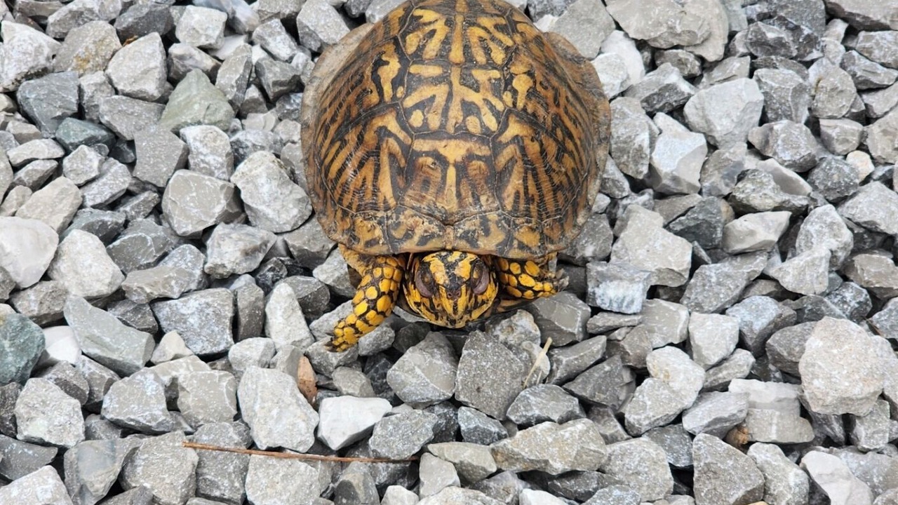 Photo of Others in Baxter