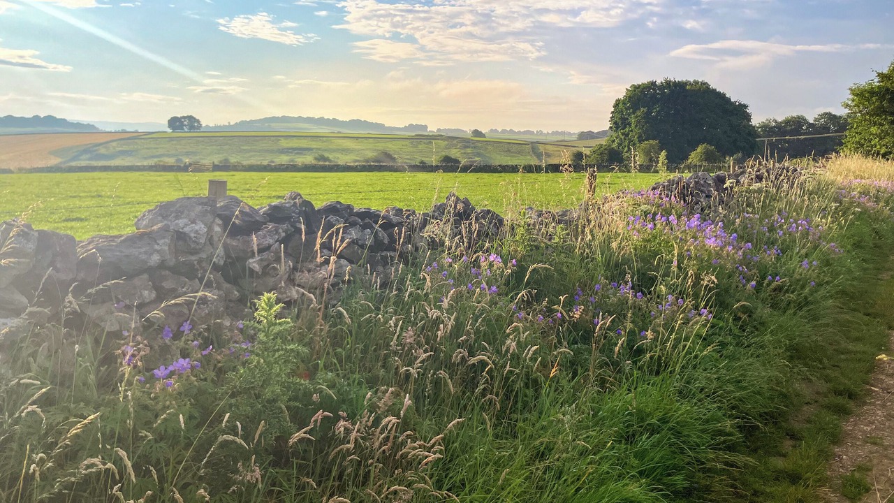 Photo of Others in Monyash