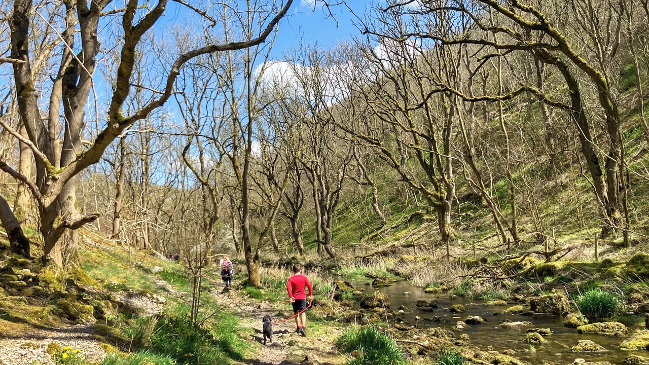 Photo of Others in Monyash