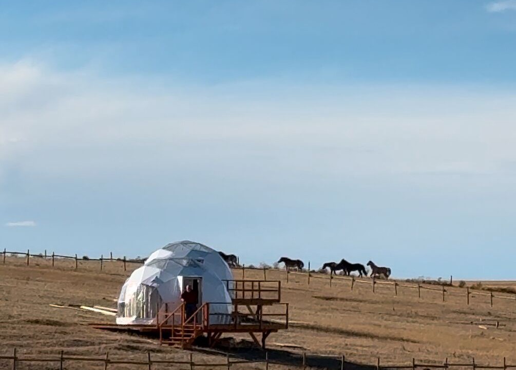 Photo of Others in Medicine Hat