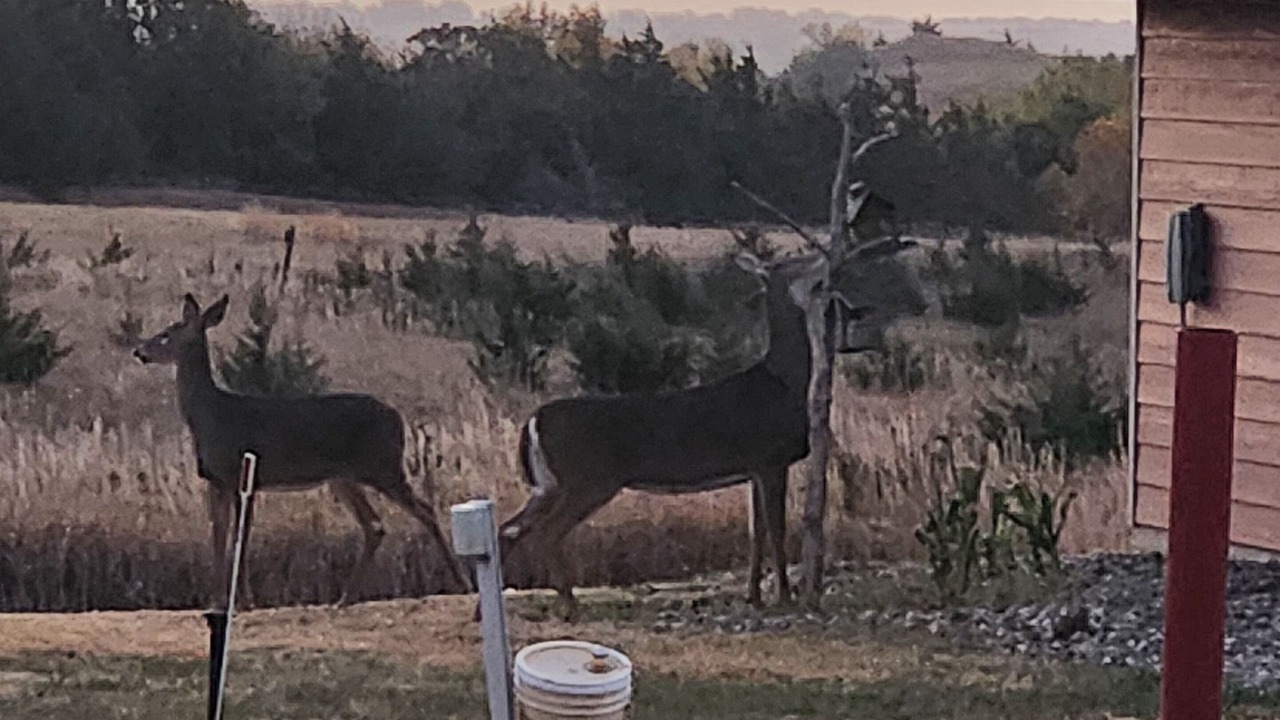 Photo of Others in Crofton