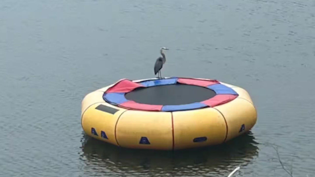 Photo of Others in New Milford