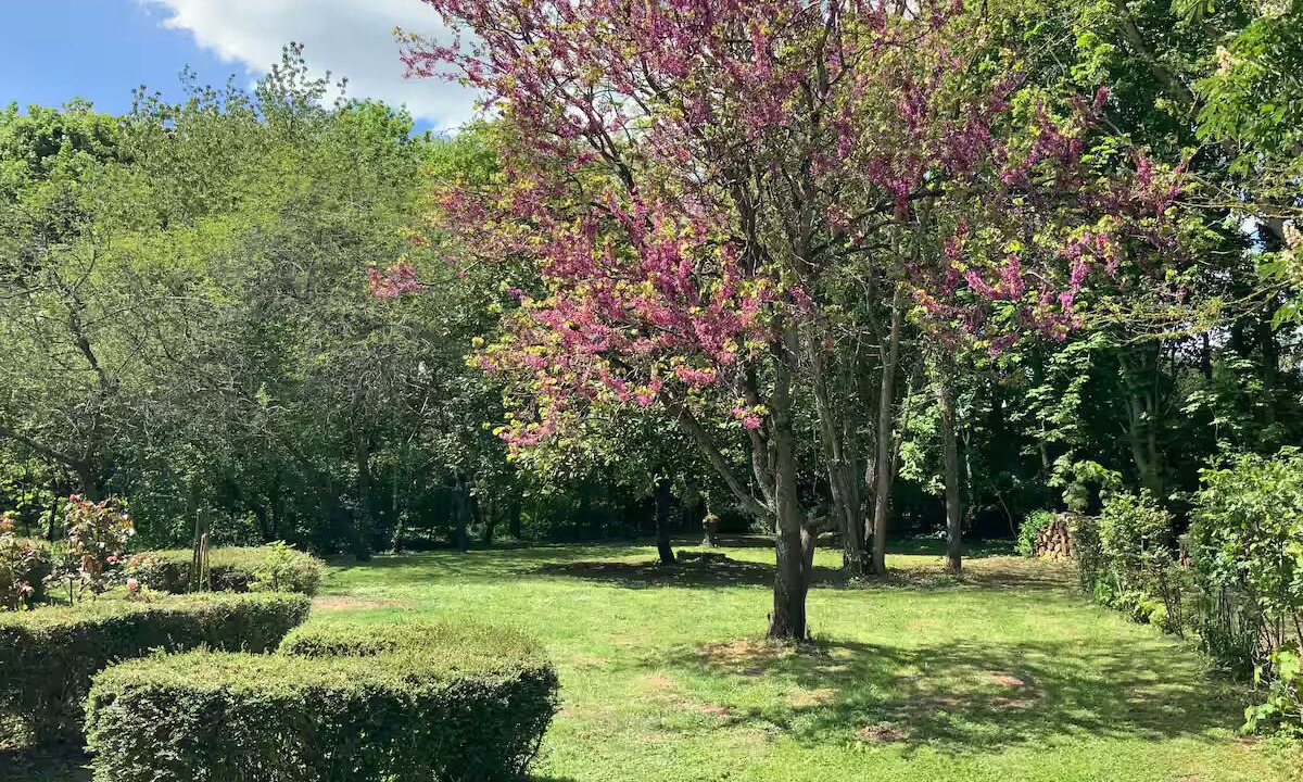 Photo of Outdoor in Parce-sur-Sarthe