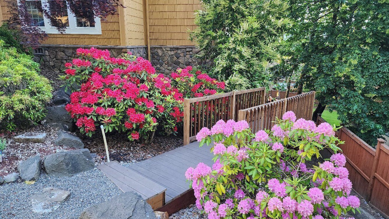 Photo of Others in Thurston