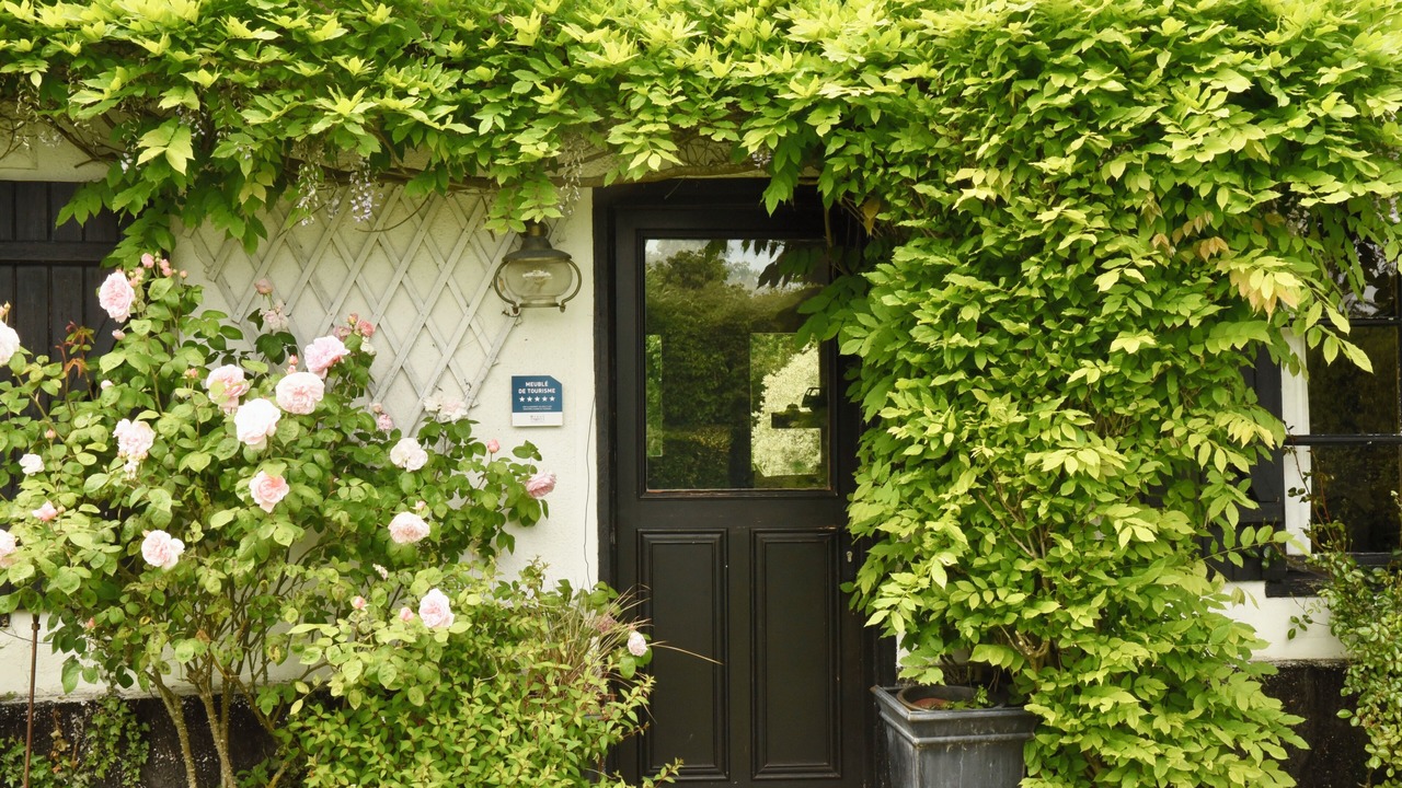 Photo of Outdoor in Rue