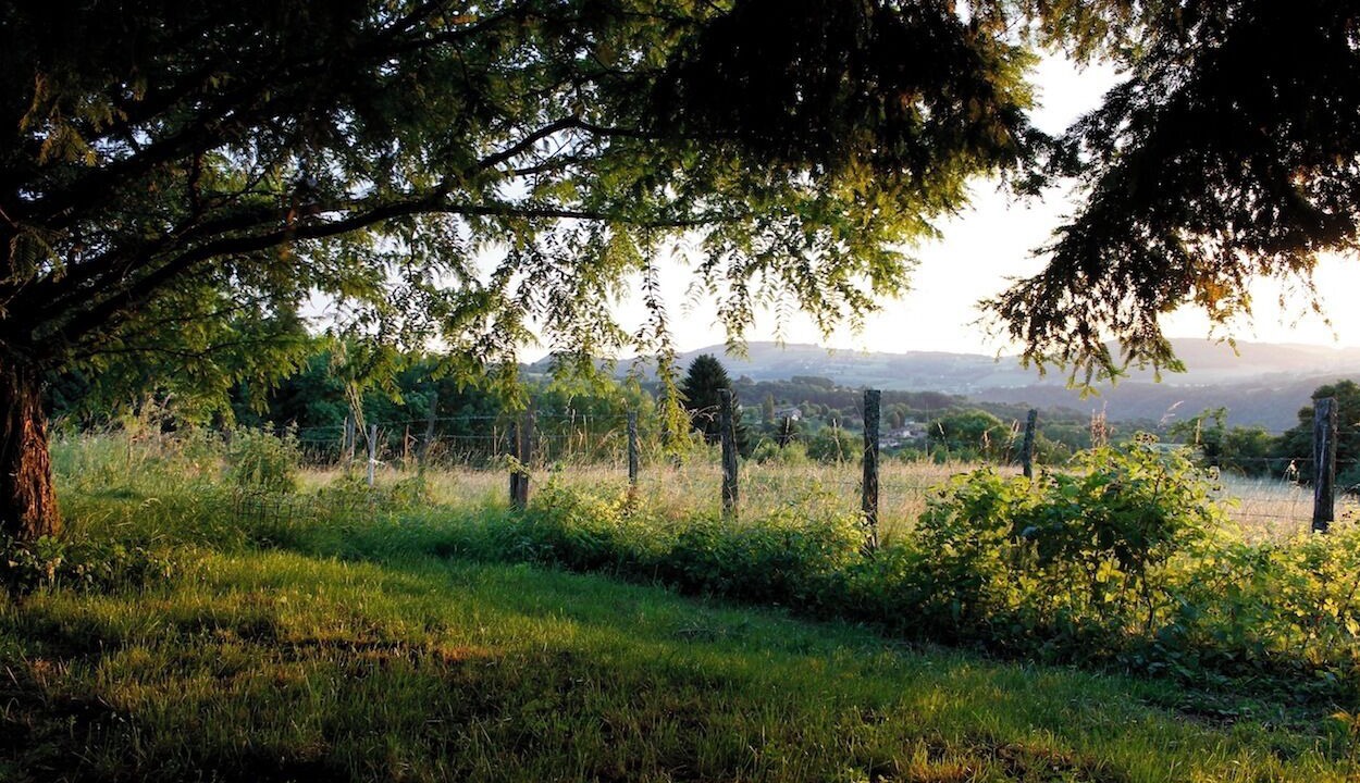 Photo of Others in Merlas