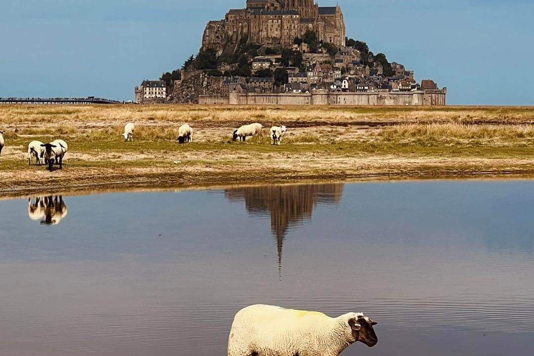 Photo of Others in Vieux-Vy-sur-Couesnon