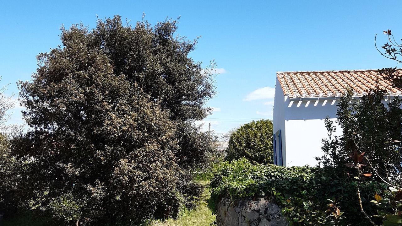 Photo of Outdoor in La Gueriniere