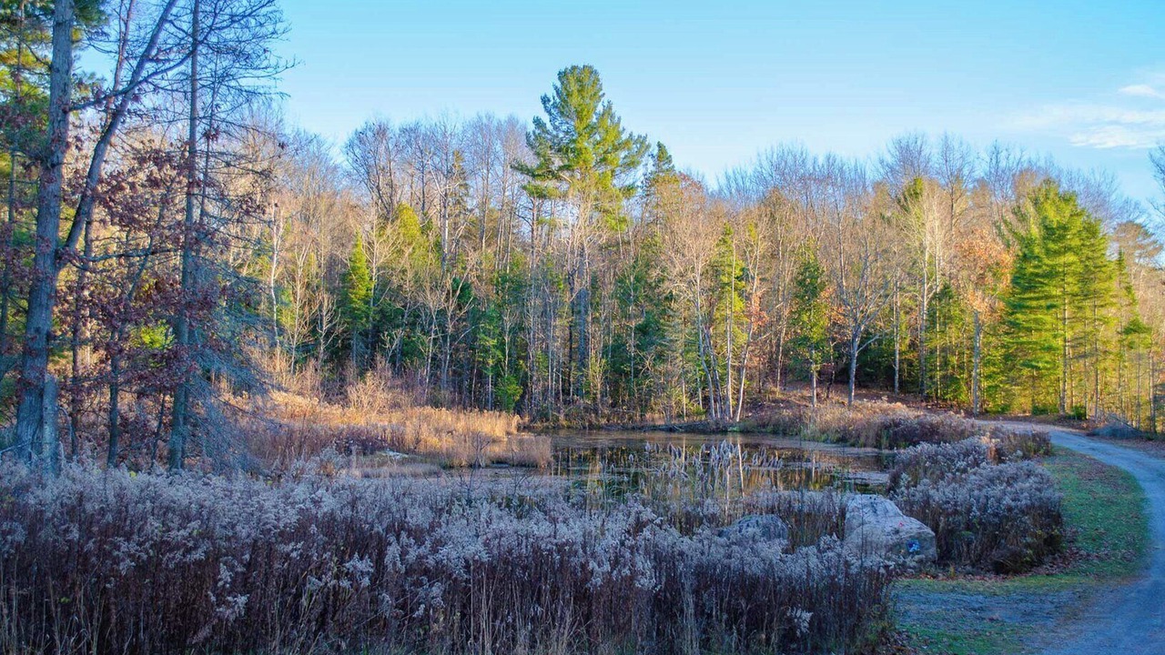 Photo of Others in Trent Lakes
