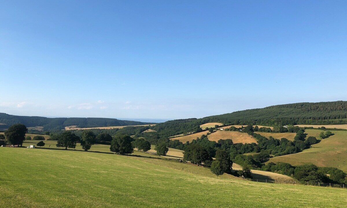 Photo of Others in Minehead
