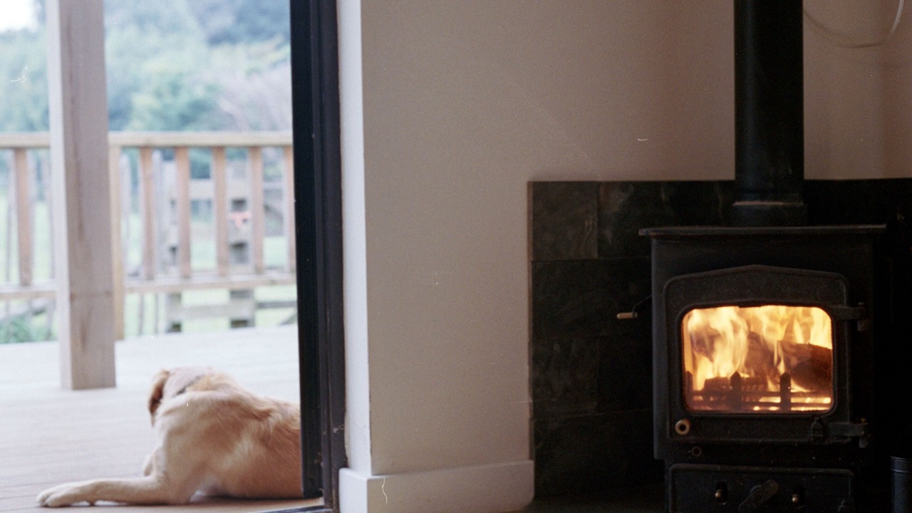 Photo of Others in Minehead