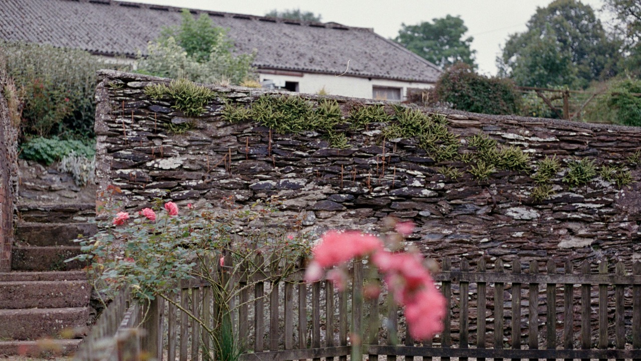 Photo of Outdoor in Minehead