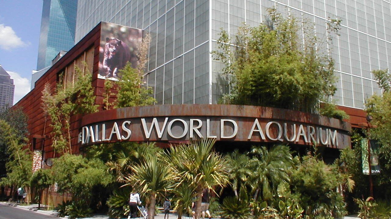 Photo of Others in Dallas