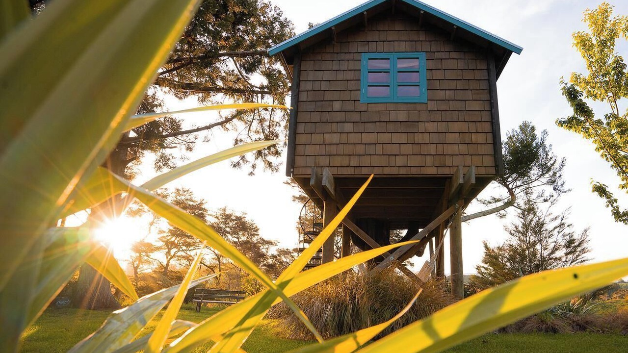 Photo of Others in Aongatete