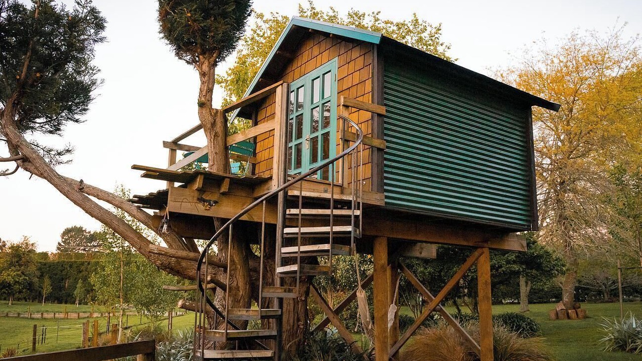 Photo of Outdoor in Aongatete