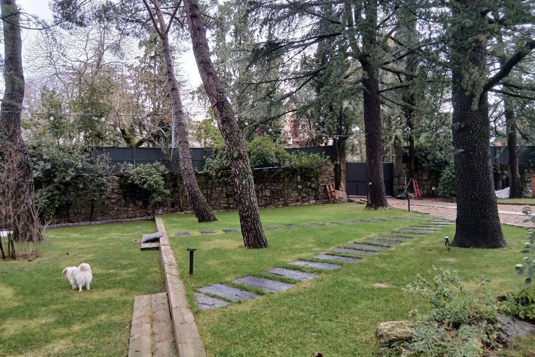 Photo of Others in Mirasierra