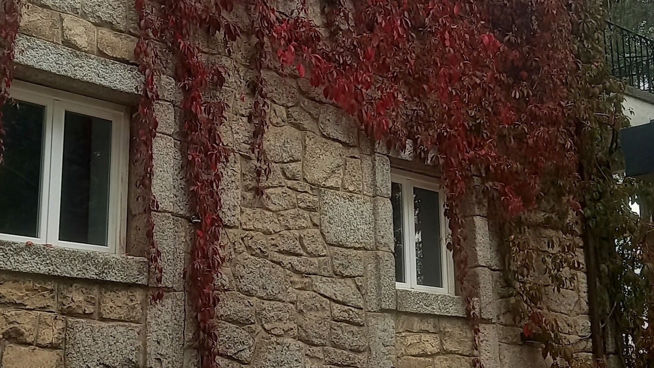 Photo of Others in Mirasierra