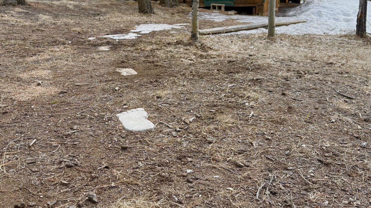 Photo of Others in Divide