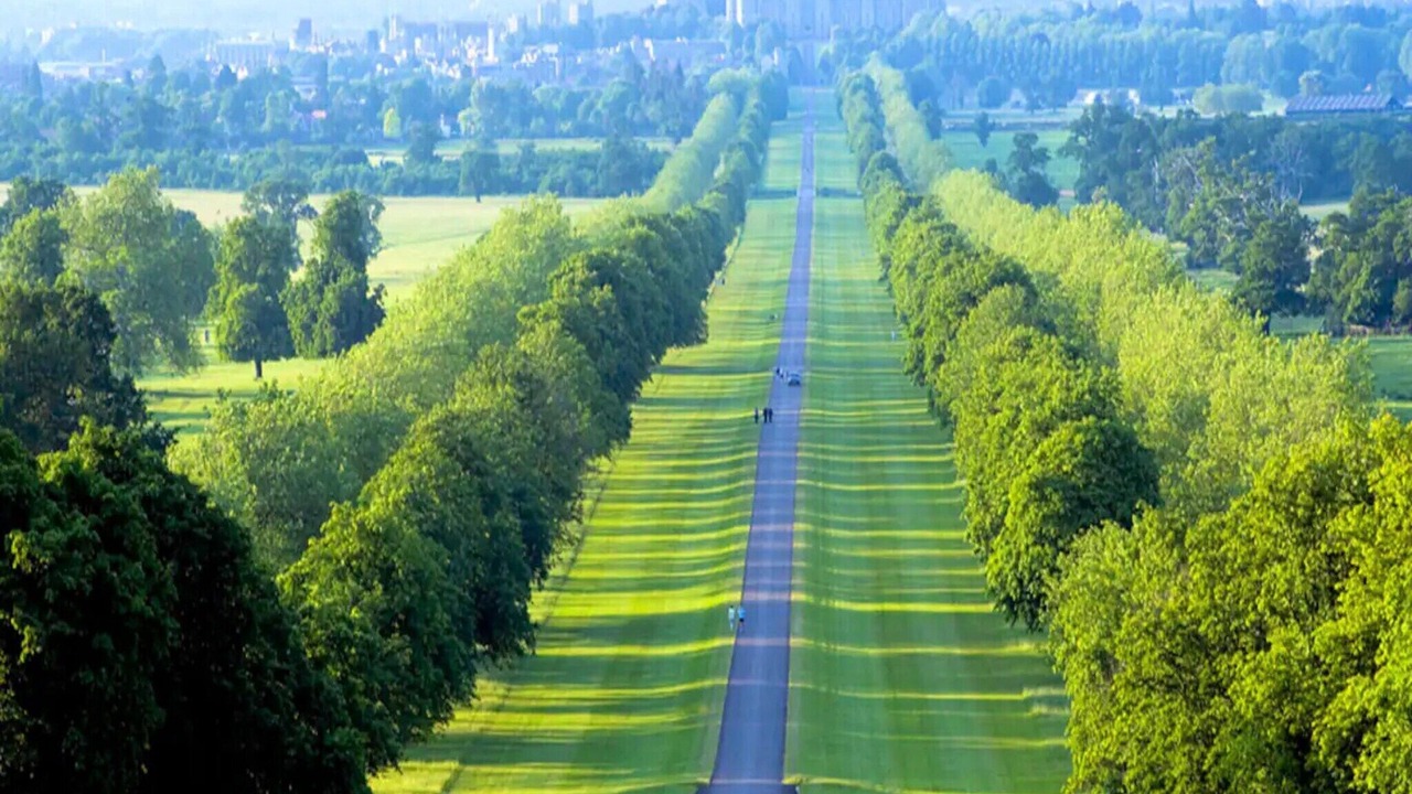 Photo of Others in Exeter