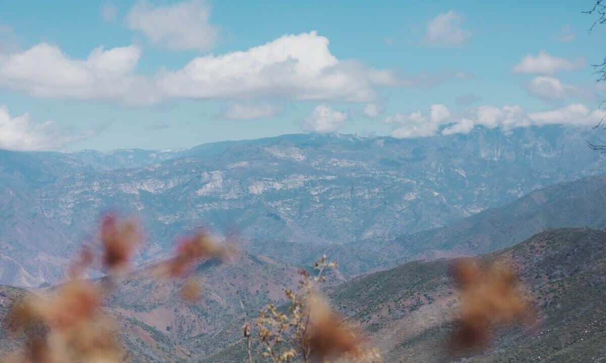 Photo of Others in Dunlap