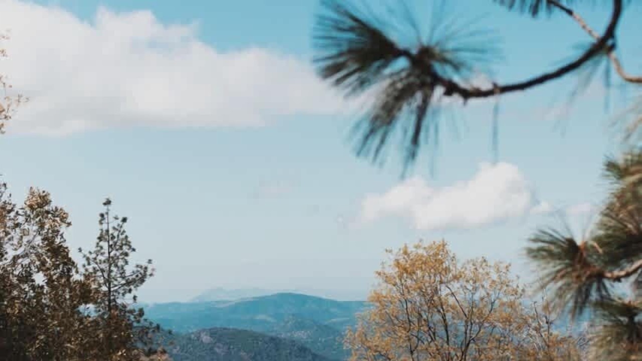 Photo of Others in Dunlap