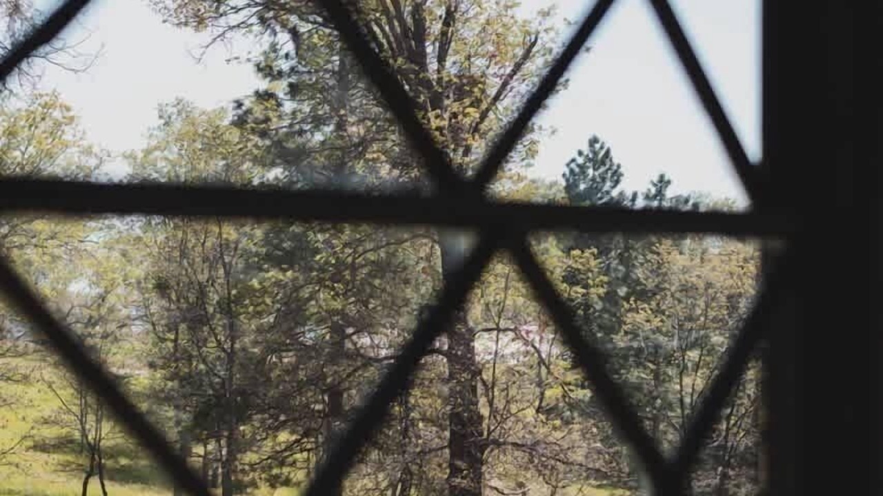 Photo of Others in Dunlap