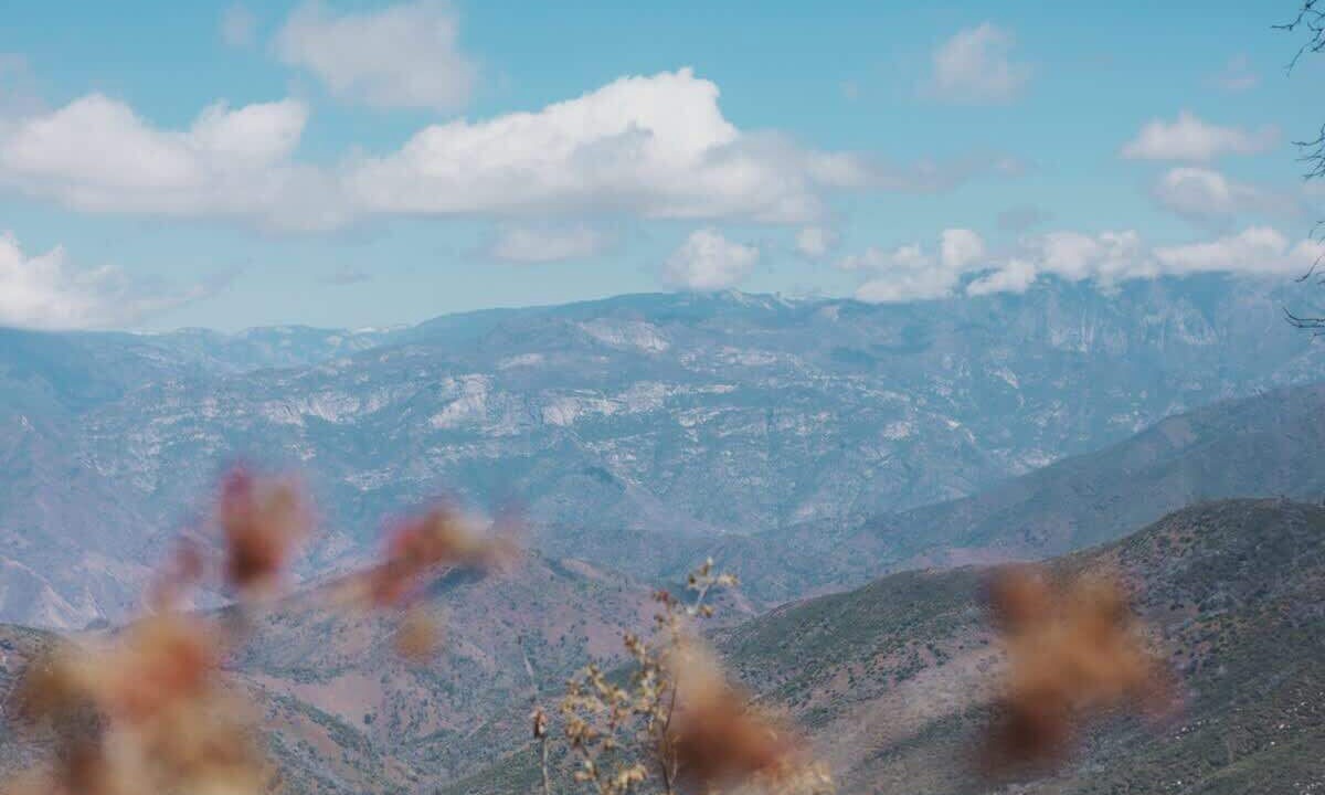 Photo of Others in Dunlap