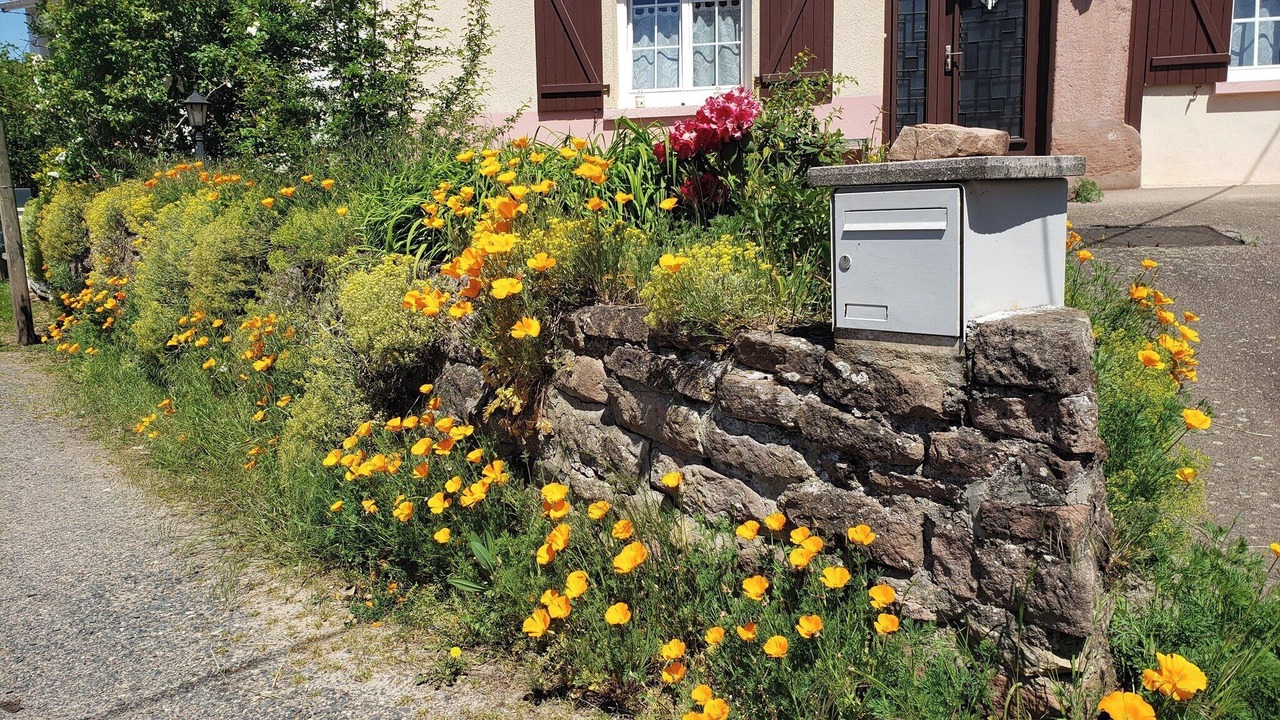 Photo of Outdoor in Moyenmoutier
