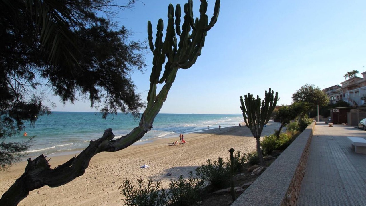 Photo of Others in Dehesa de Campoamor