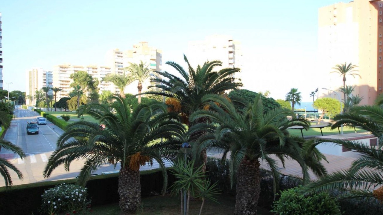 Photo of Outdoor in Dehesa de Campoamor